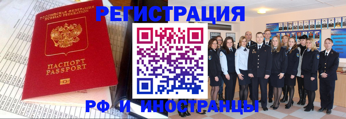 прописка поиск в Купино